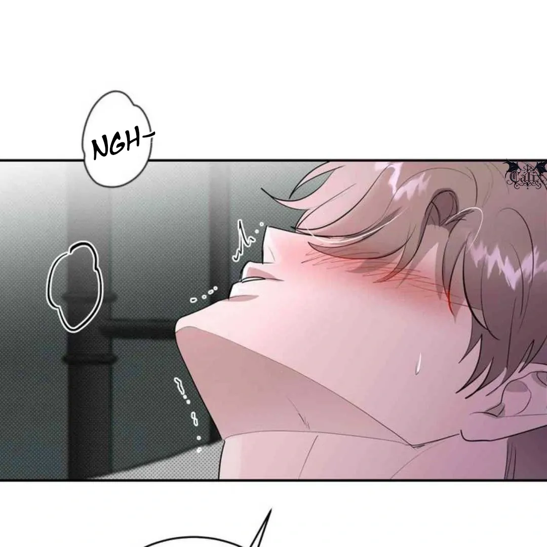 Knockout Baby Chapter 16 page 104 - 