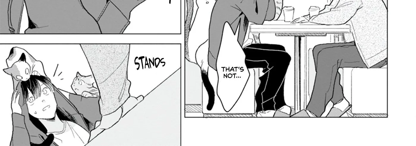 Koisuru Neko wa Naderaretai Chapter 2 page 23 - 