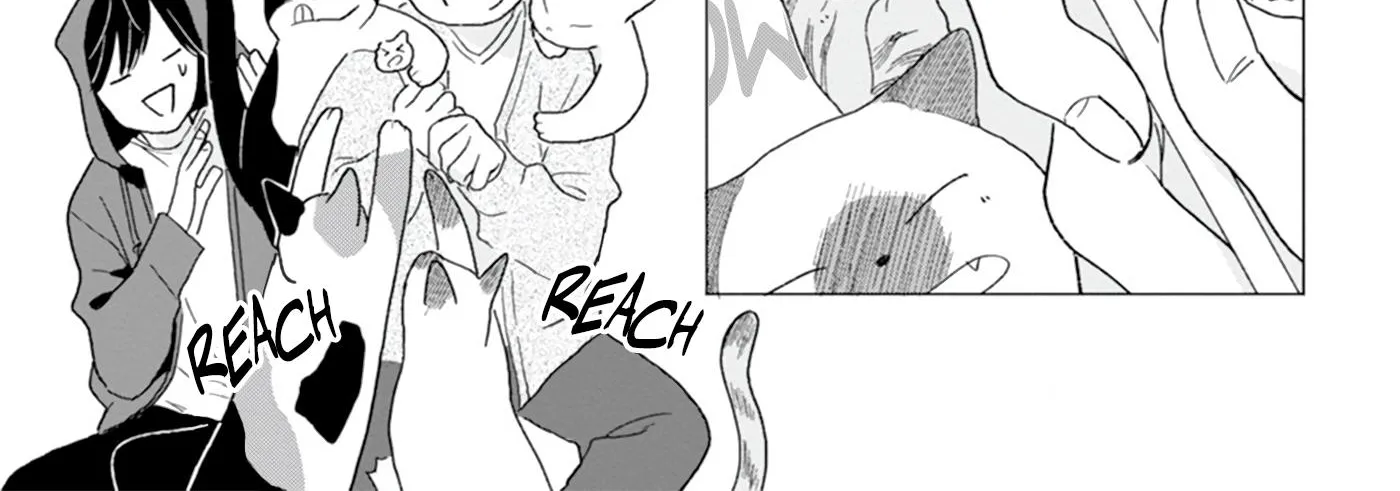 Koisuru Neko wa Naderaretai Chapter 2 page 27 - 