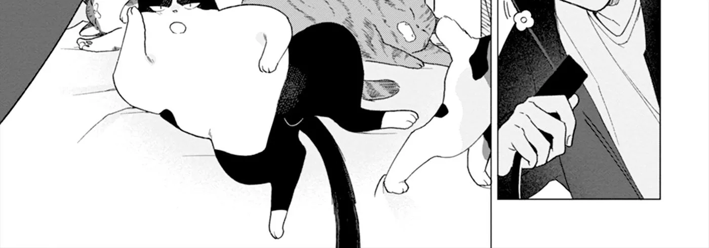 Koisuru Neko wa Naderaretai Chapter 4 page 5 - 