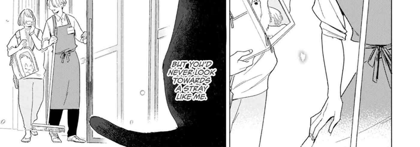 Koisuru Neko wa Naderaretai Chapter 5 page 37 - 
