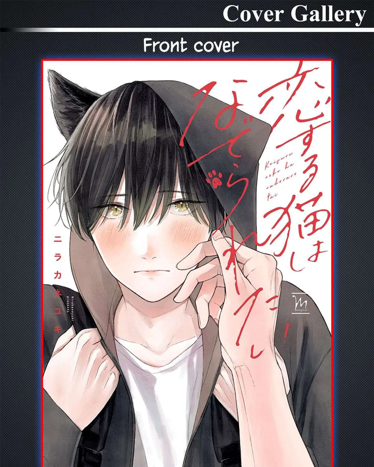 Koisuru Neko wa Naderaretai Chapter 6.5 page 13 - 