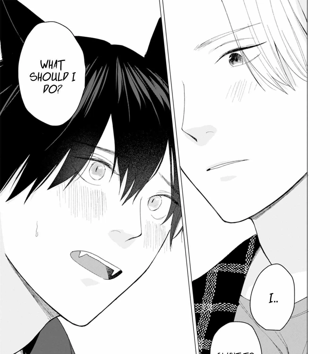 Koisuru Neko wa Naderaretai Chapter 6 page 36 - 
