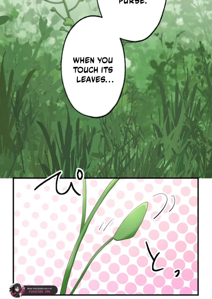Kokou no Hana - Slum no Shoujo wa Hime to Nari Ichizu ni Chouaisareru Chapter 28 page 41 - 