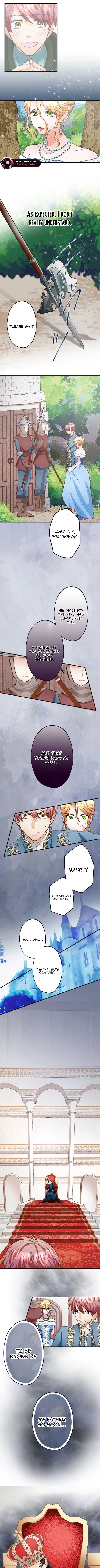 Kokou no Hana - Slum no Shoujo wa Hime to Nari Ichizu ni Chouaisareru Chapter 3 page 12 - 