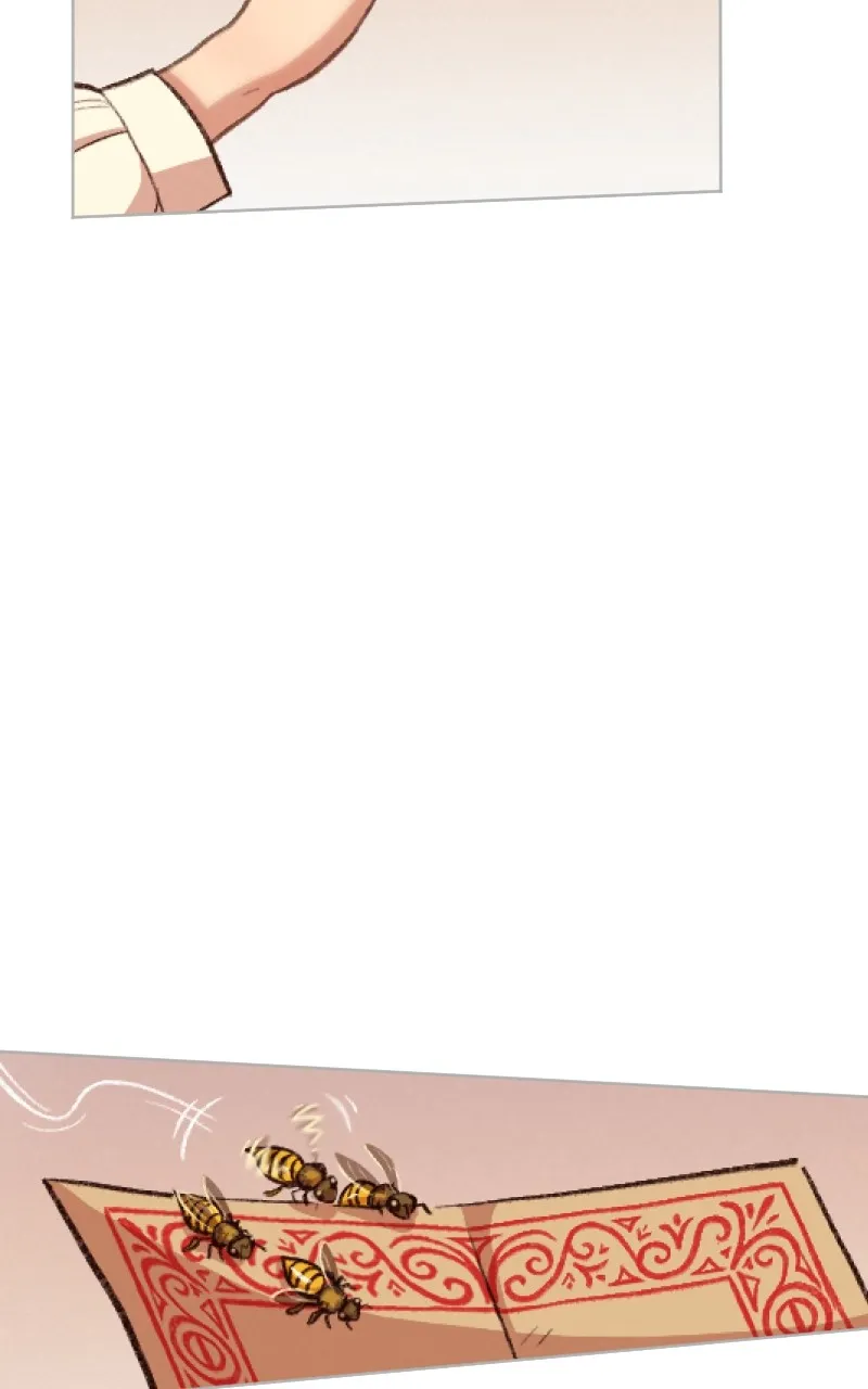 Lady Knight Chapter 39 page 70 - 
