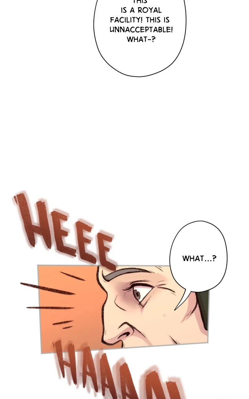 Lady Knight Chapter 42 page 14 - 