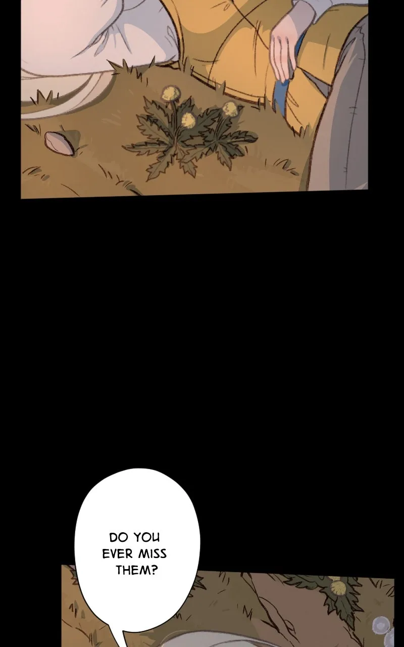 Lady Knight Chapter 44 page 12 - 