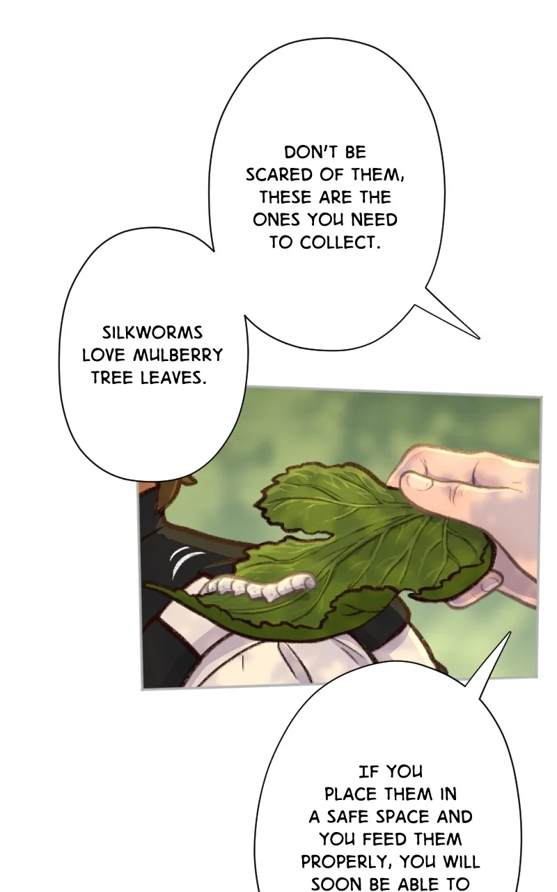 Lady Knight Chapter 48 page 24 - 