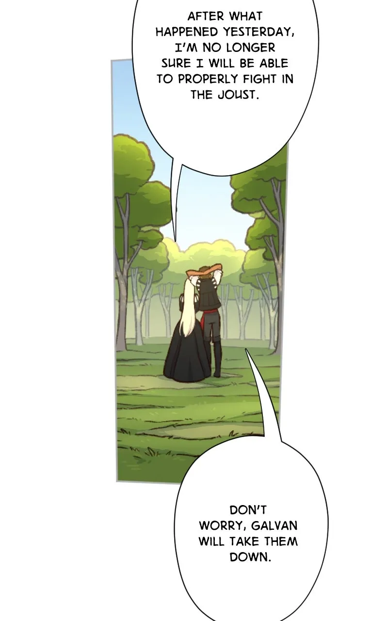 Lady Knight Chapter 48 page 30 - 