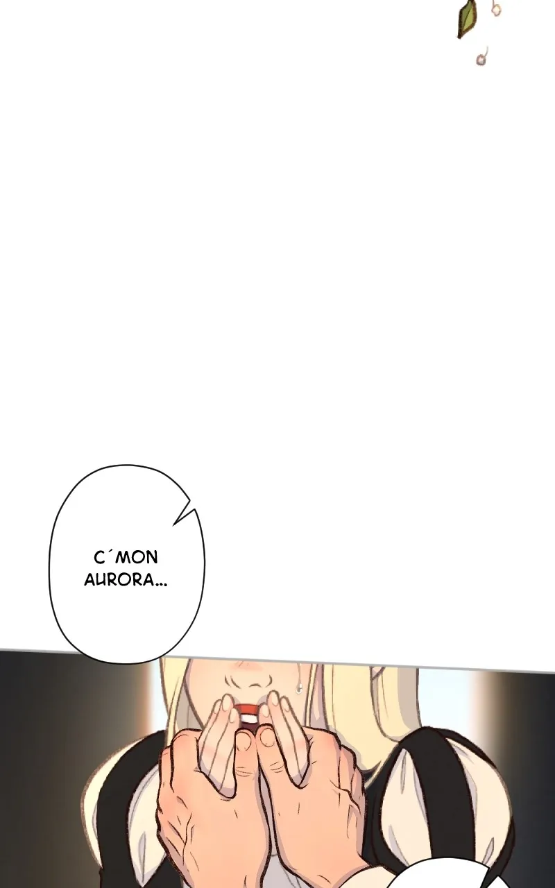 Lady Knight Chapter 59 page 65 - 