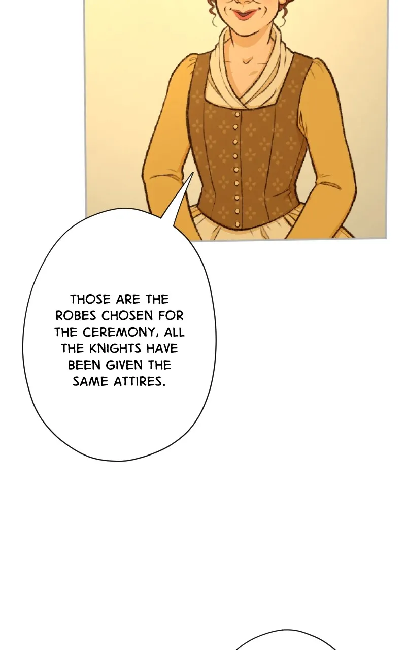 Lady Knight Chapter 60 page 19 - 