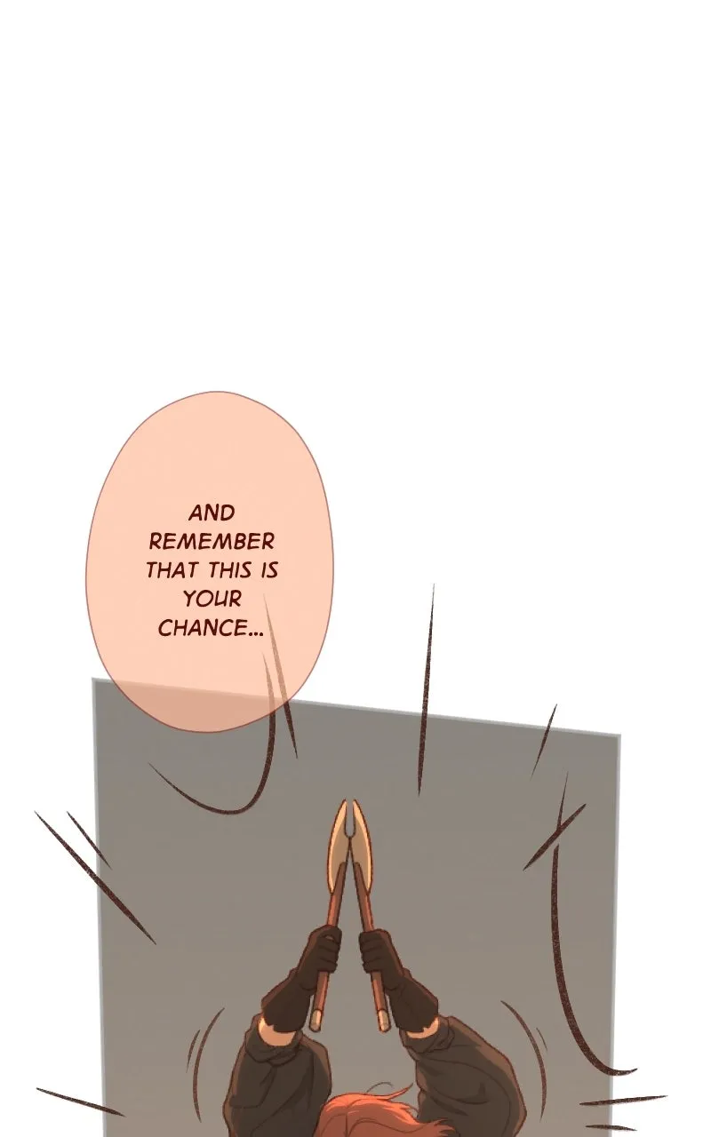 Lady Knight Chapter 68 page 42 - 