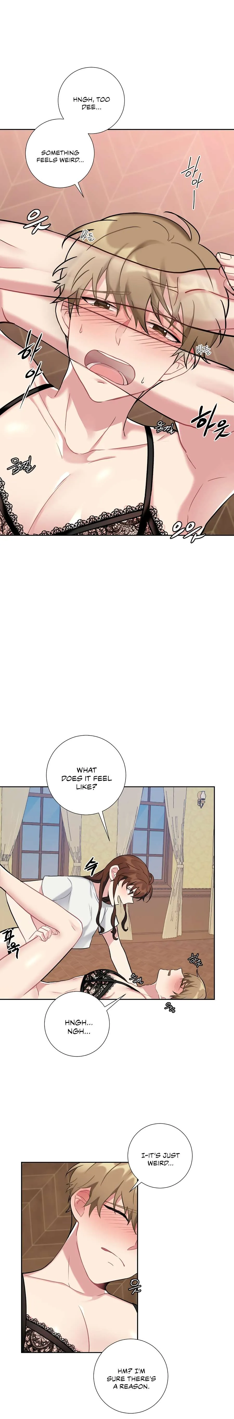 Lady & Maid Chapter 18 page 19 - 