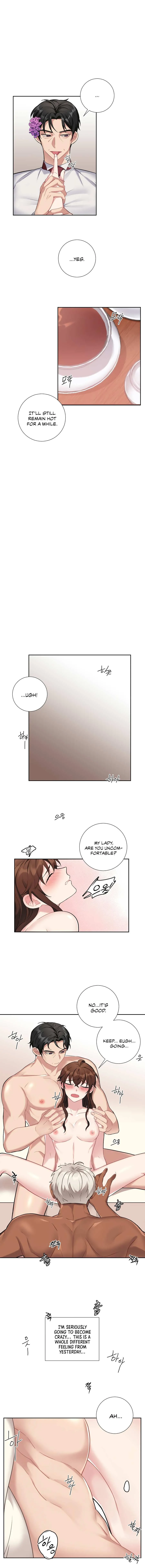 Lady & Maid Chapter 21 page 7 - 