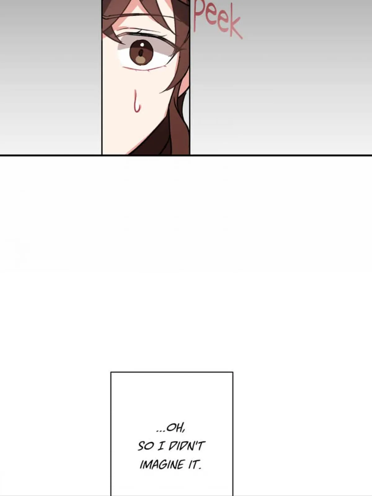 Lady & Maid Chapter 33.99 page 13 - 