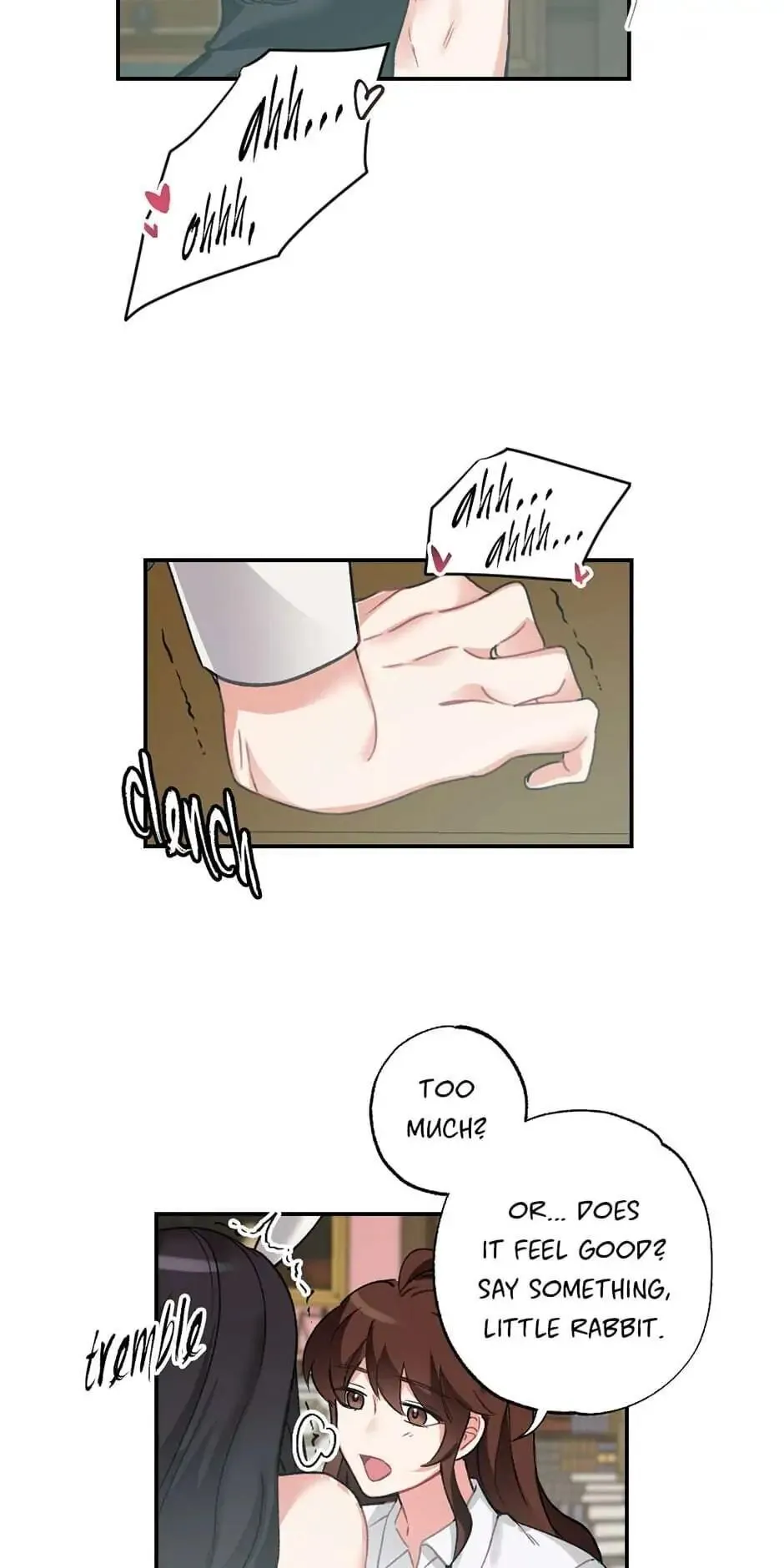 Lady & Maid Chapter 37 page 17 - 