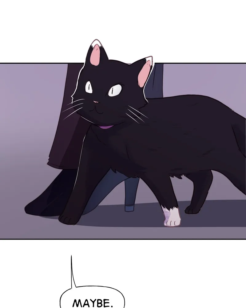 Lalin's Curse Chapter 46 page 91 - 
