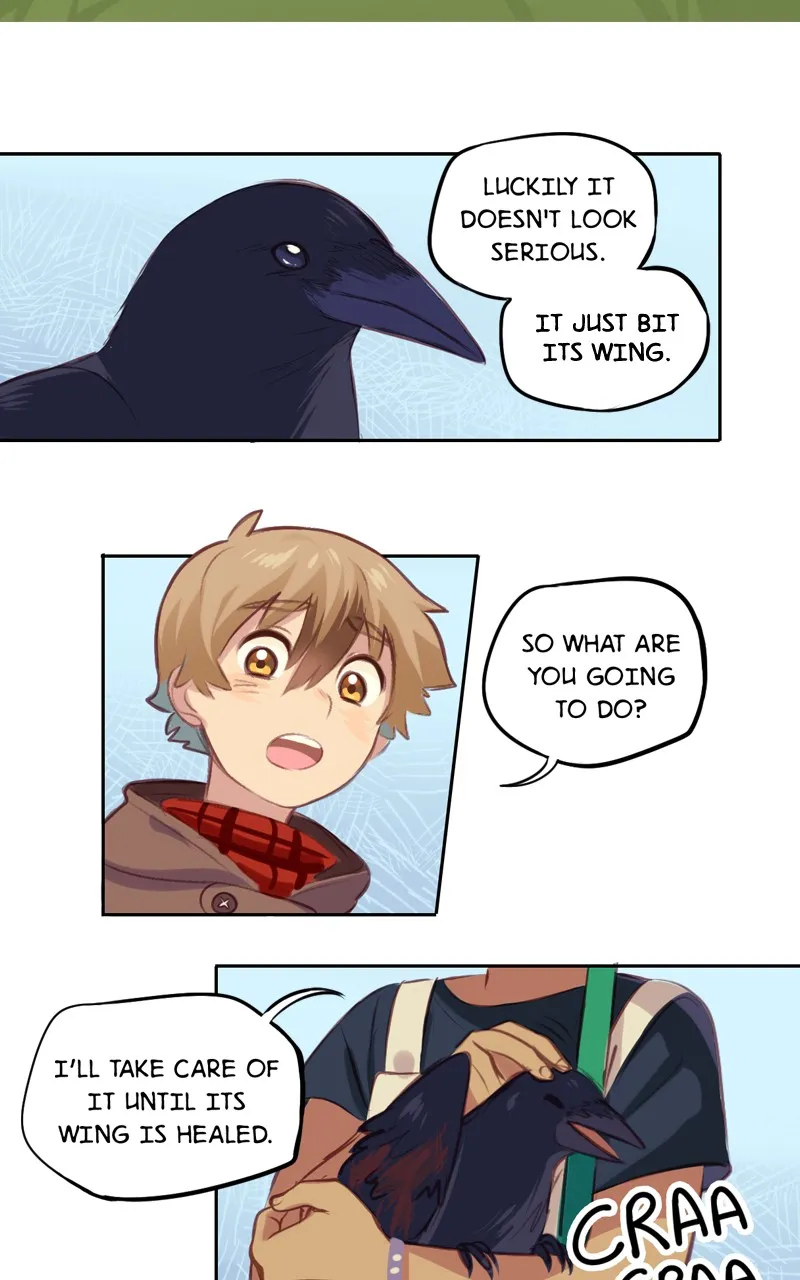 Lalin's Curse Chapter 5 page 12 - 