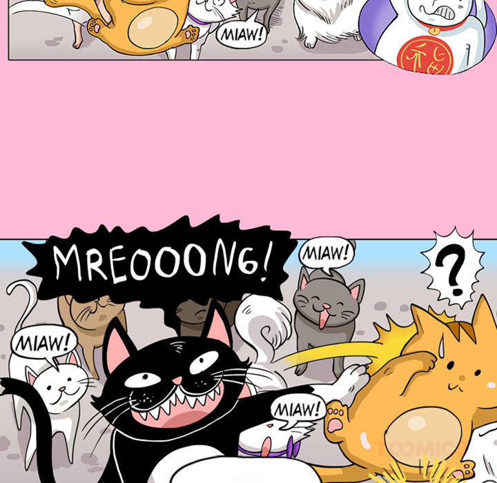 Lay Lay Cat Chapter 13 page 11 - 