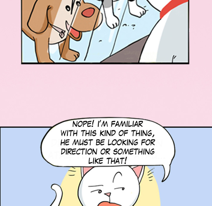 Lay Lay Cat Chapter 15 page 12 - 