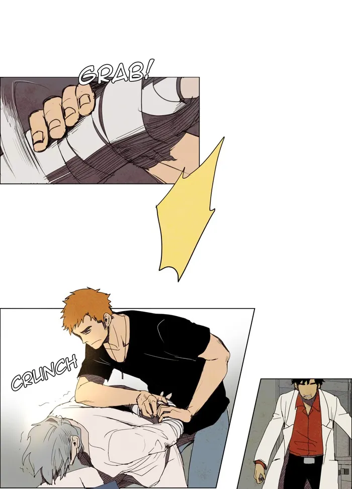 LESSA Chapter 23 page 15 - 