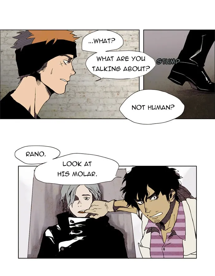 LESSA Chapter 3 page 19 - 