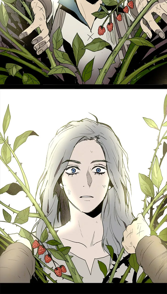 LESSA Chapter 39 page 14 - 