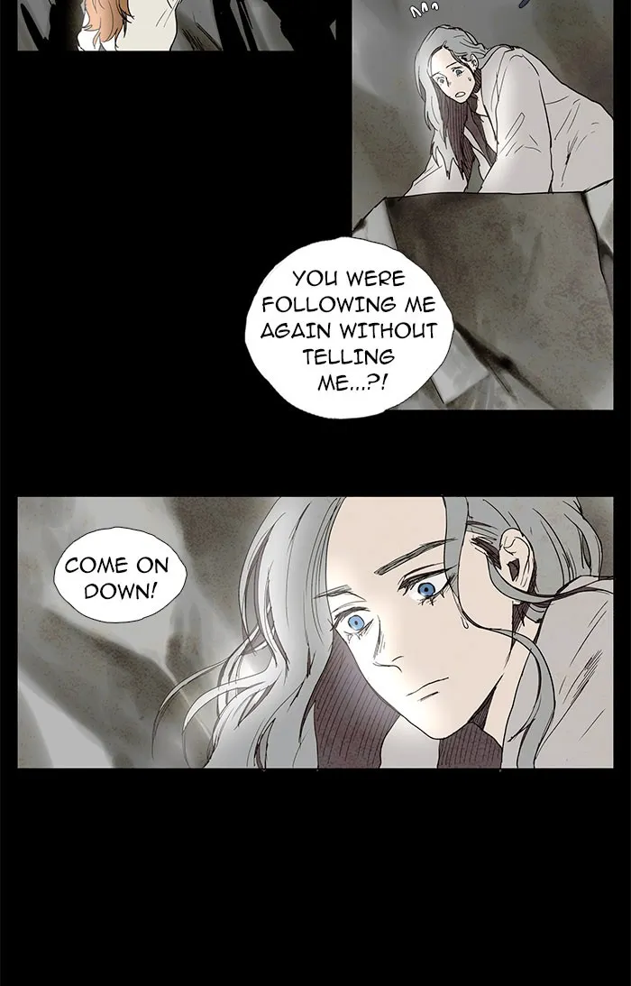 LESSA Chapter 41 page 3 - 