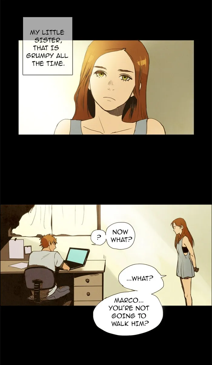 LESSA Chapter 8 page 25 - 
