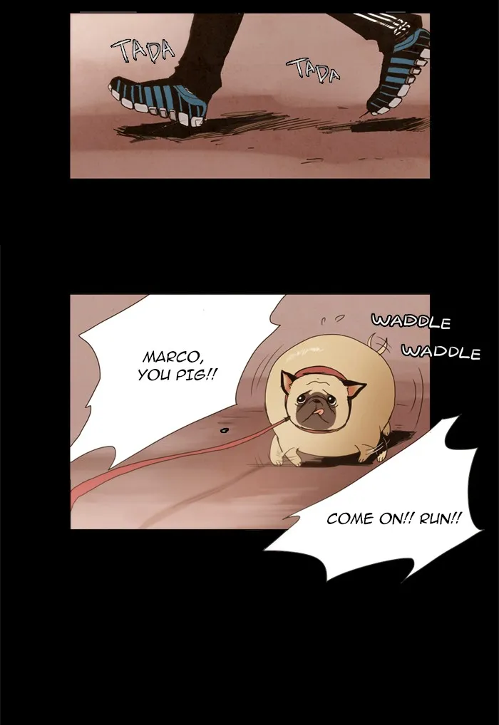 LESSA Chapter 8 page 31 - 