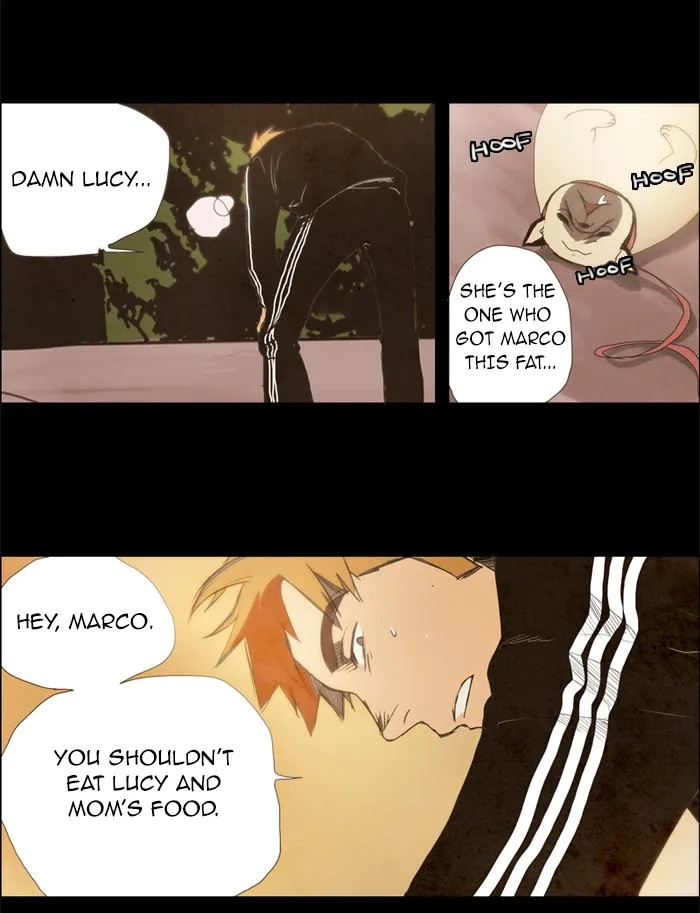 LESSA Chapter 8 page 34 - 