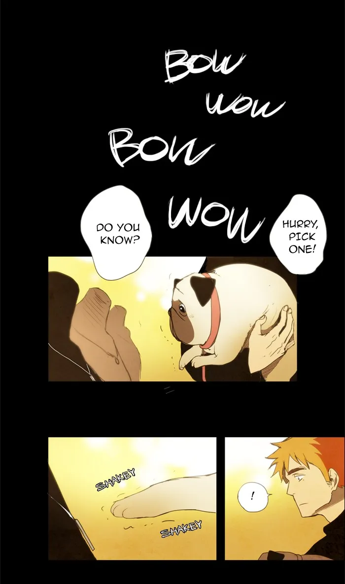 LESSA Chapter 8 page 38 - 