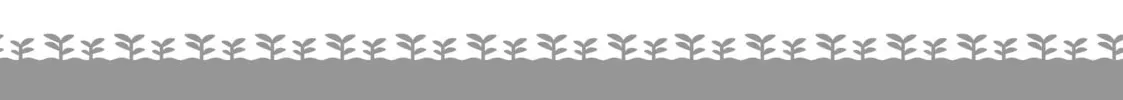Let's Buy the Land and Cultivate It in a Different World Chapter 0.6 page 2 - 