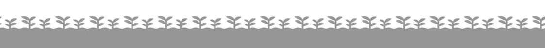 Let's Buy the Land and Cultivate It in a Different World Chapter 0.6 page 14 - 