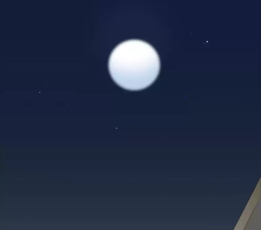Let's Have a Baby Dragon Chapter 109 page 36 - 