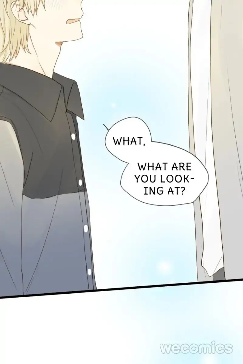 Let's Have a Baby Dragon Chapter 31 page 33 - 