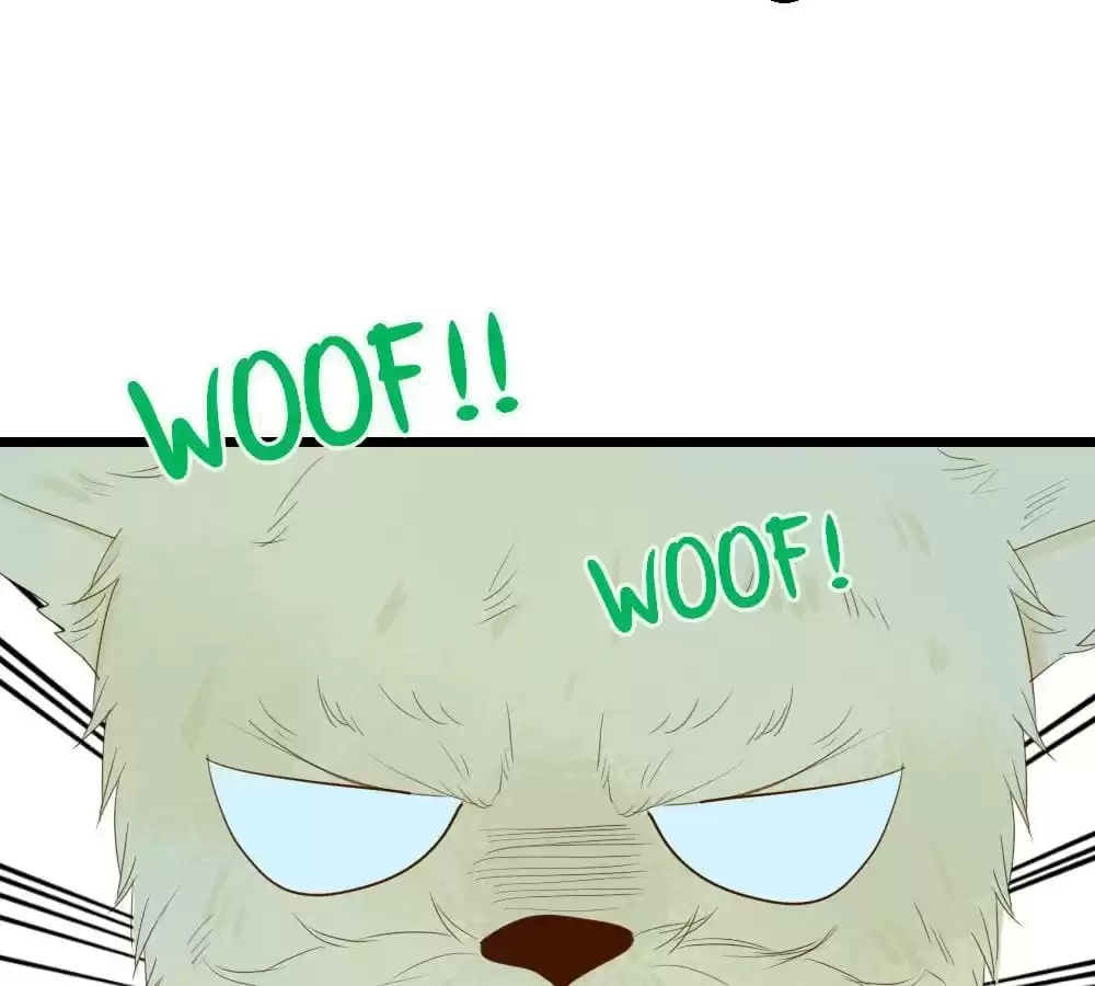 Let's Have a Baby Dragon Chapter 34 page 19 - 