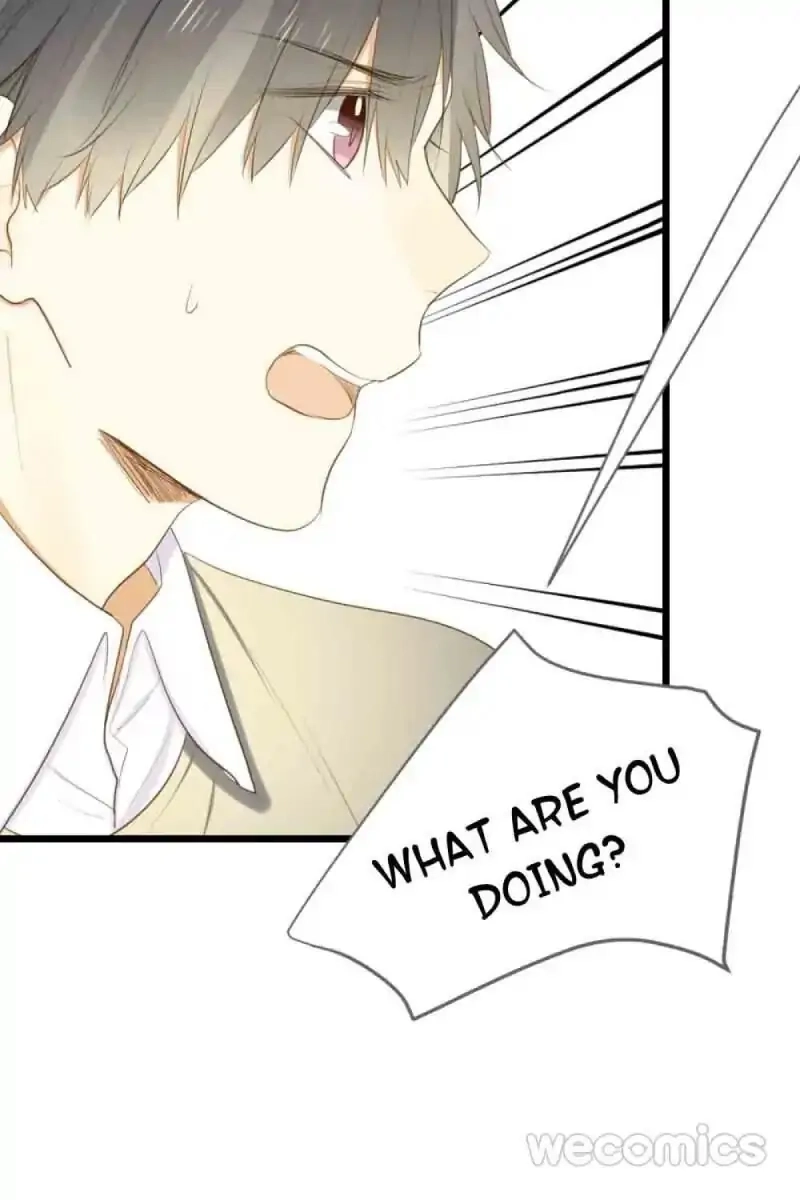 Let's Have a Baby Dragon Chapter 40 page 31 - 