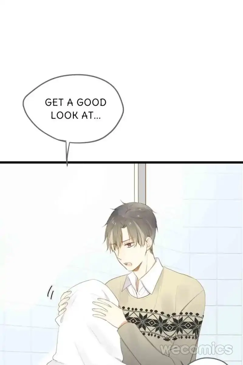 Let's Have a Baby Dragon Chapter 40 page 36 - 