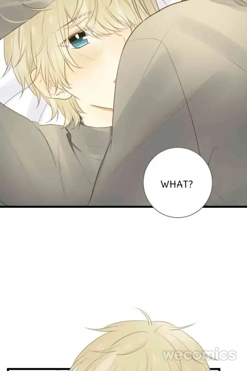 Let's Have a Baby Dragon Chapter 41 page 2 - 