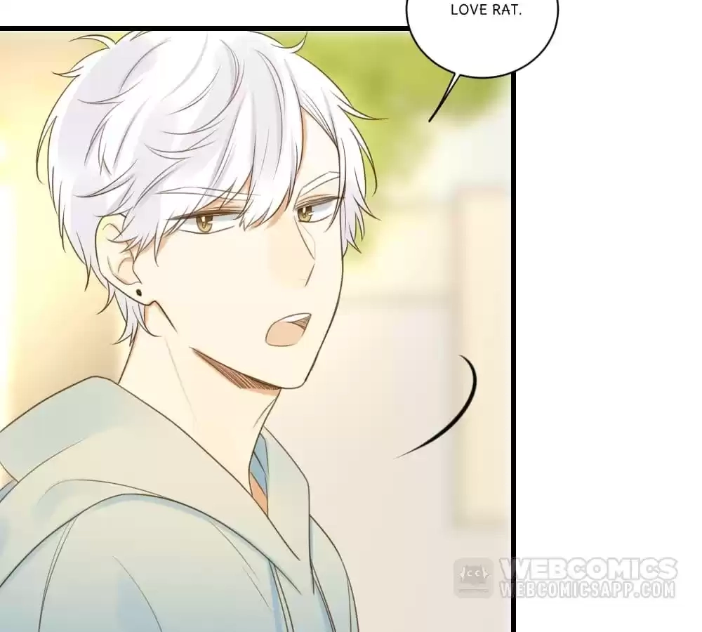 Let's Have a Baby Dragon Chapter 79 page 62 - 