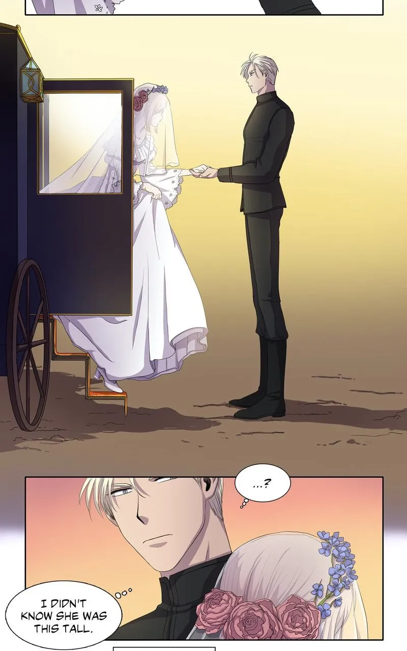 Light and Shadow Chapter 2 page 15 - 