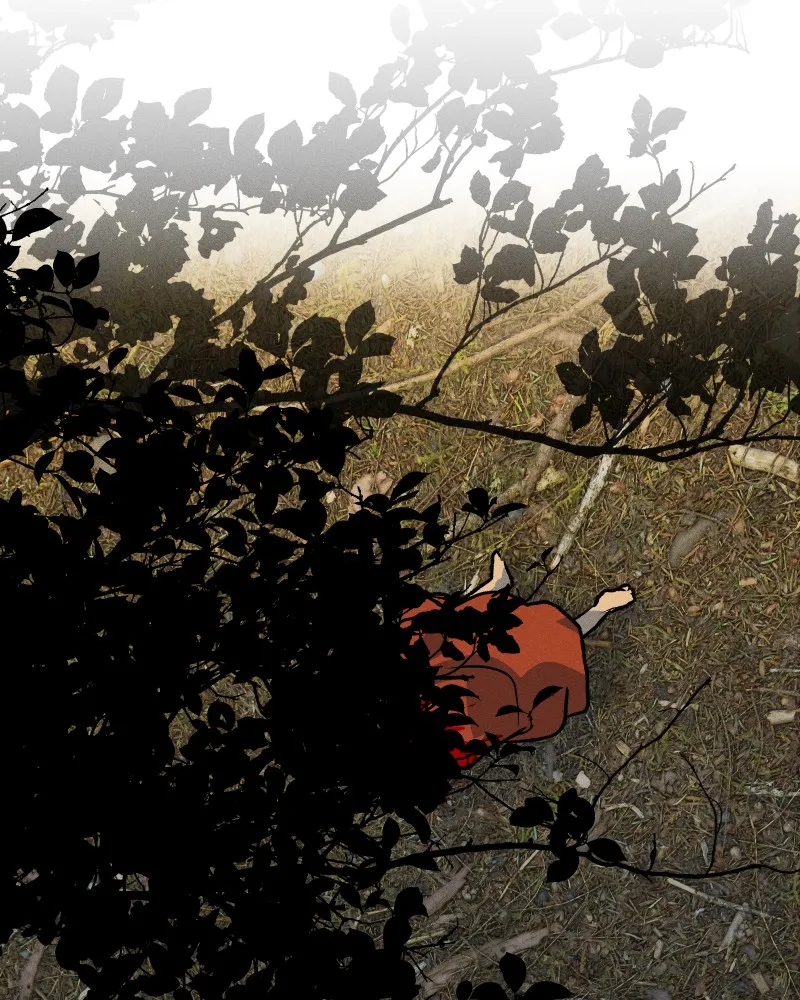 Lily Crown Chapter 57 page 169 - 