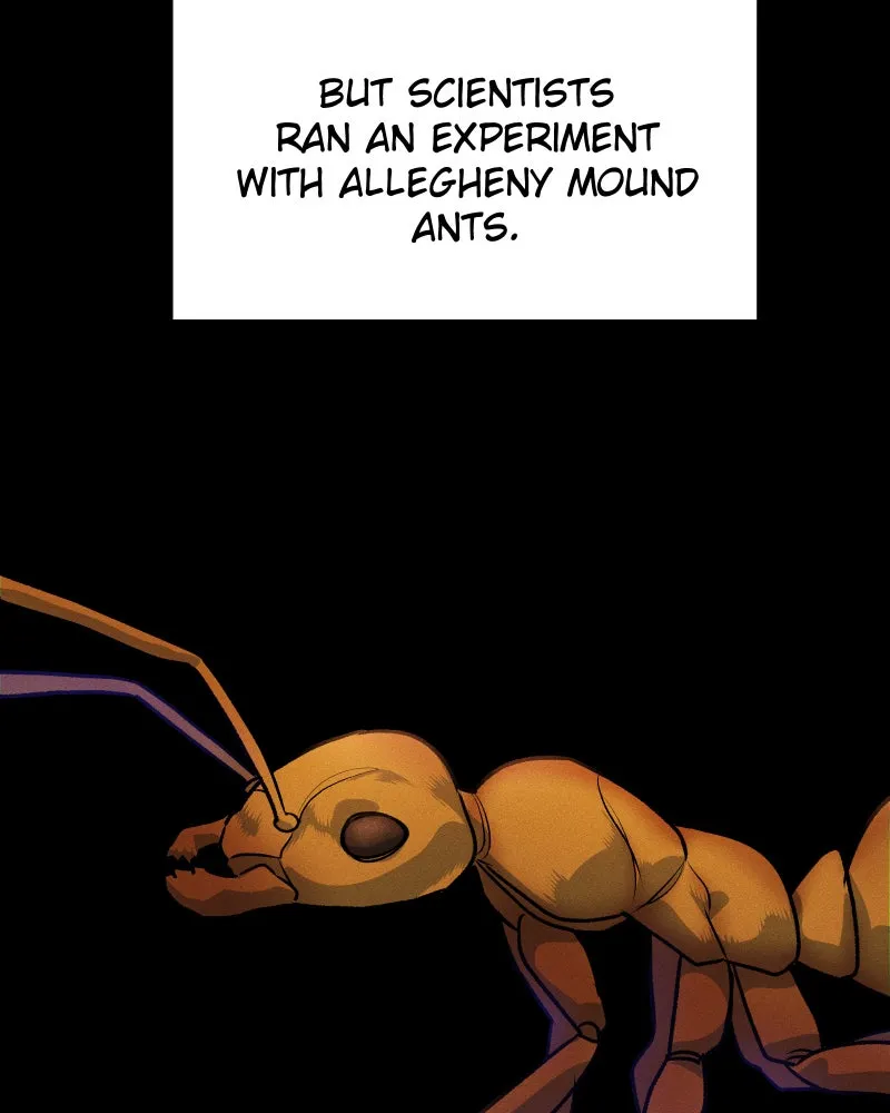 Lily Crown Chapter 57 page 72 - 