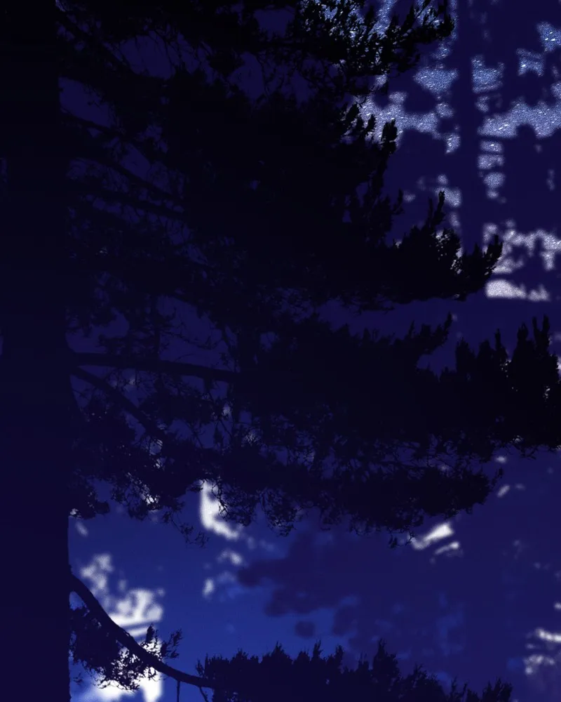 Lily Crown Chapter 75 page 33 - 
