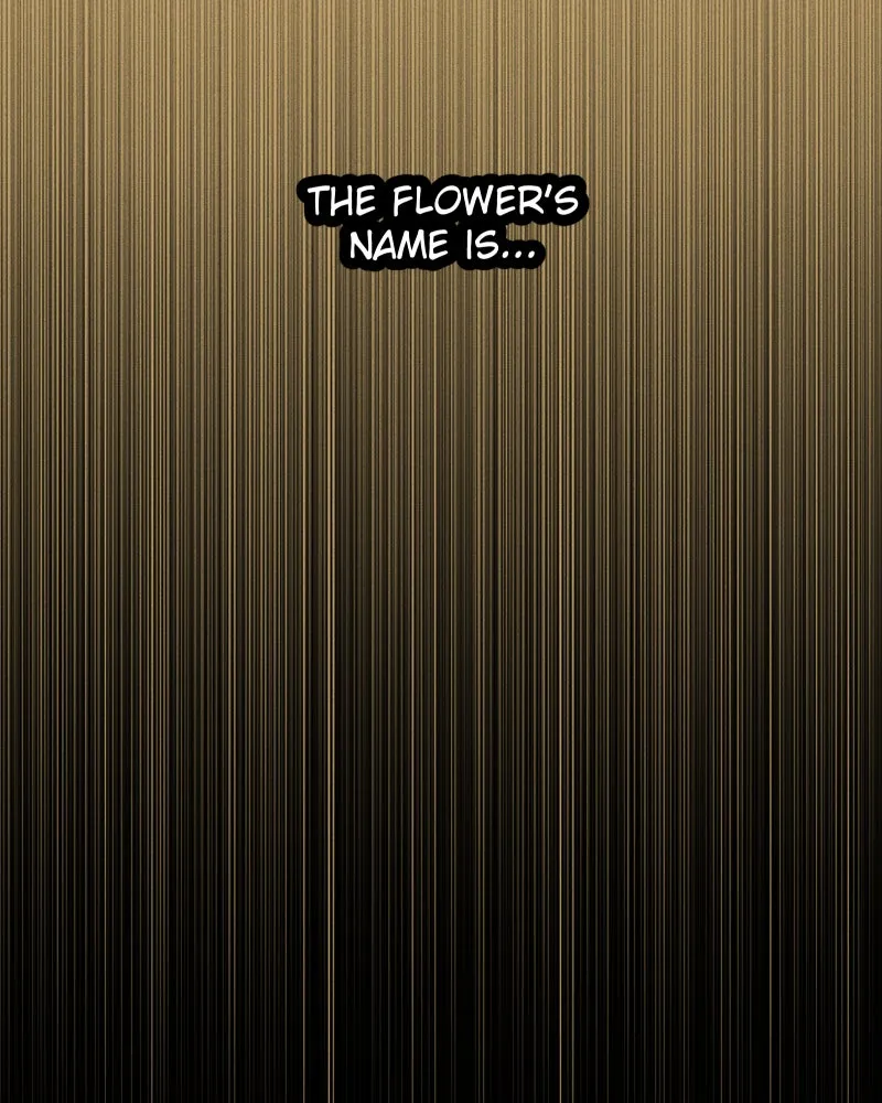 Lily Crown Chapter 94 page 90 - 