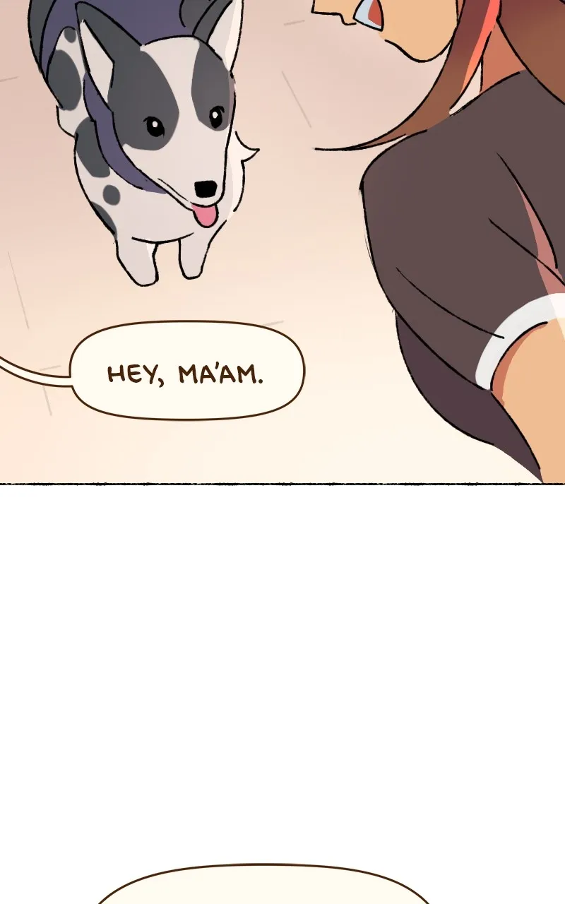 Little Hollow Café Chapter 2 page 40 - 