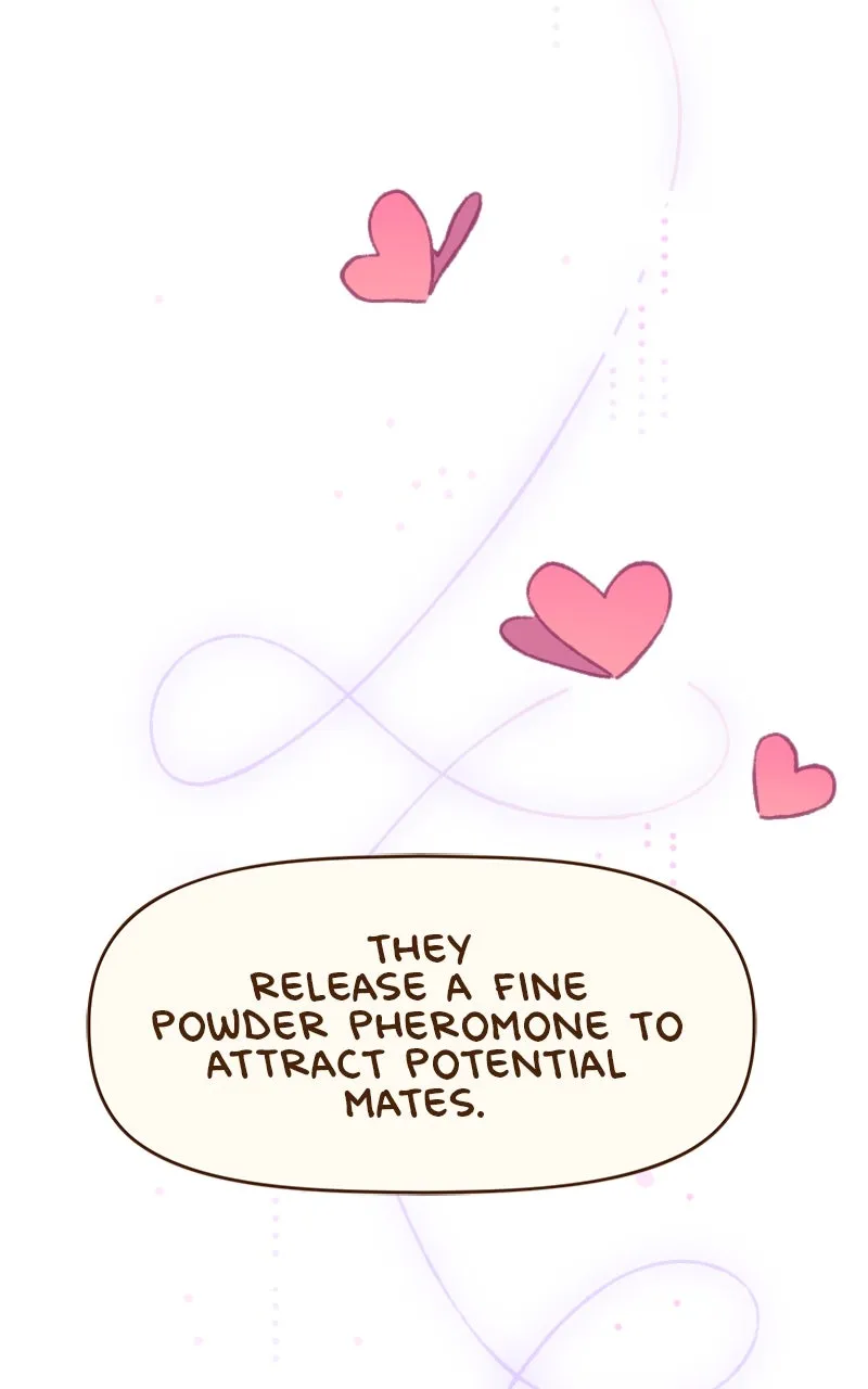 Little Hollow Café Chapter 43 page 40 - 