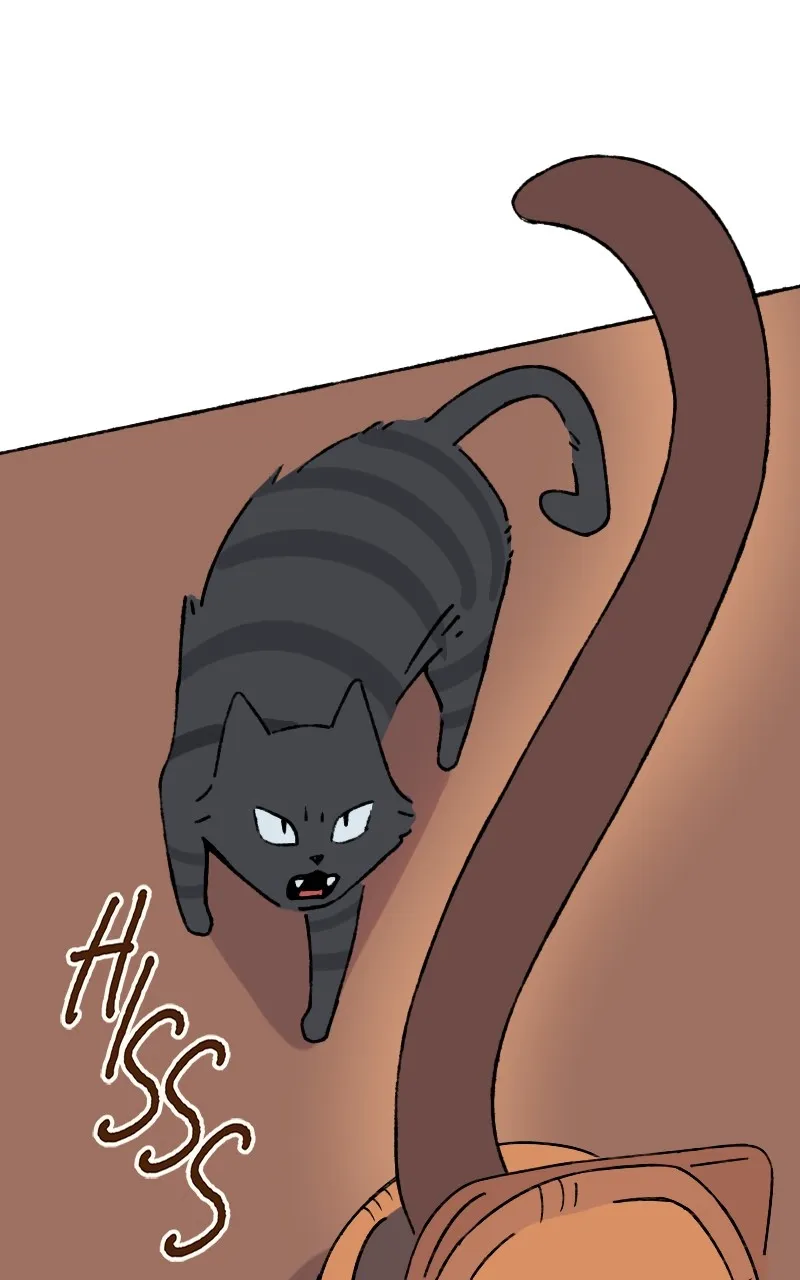 Little Hollow Café Chapter 5 page 56 - 